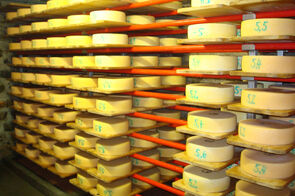 Kässekeller Alpkäse Tamangur